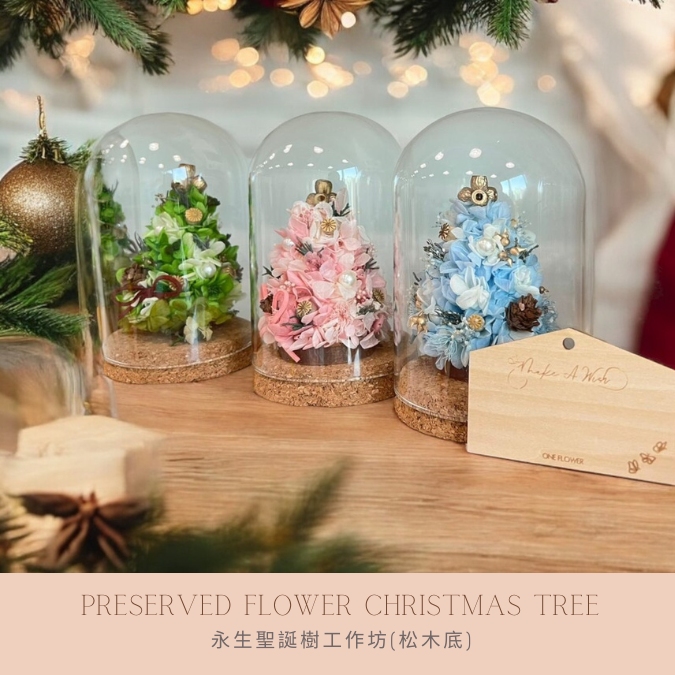 Preserved flower Christmas Tree Workshop 2 hours (S Size Corkboard base)